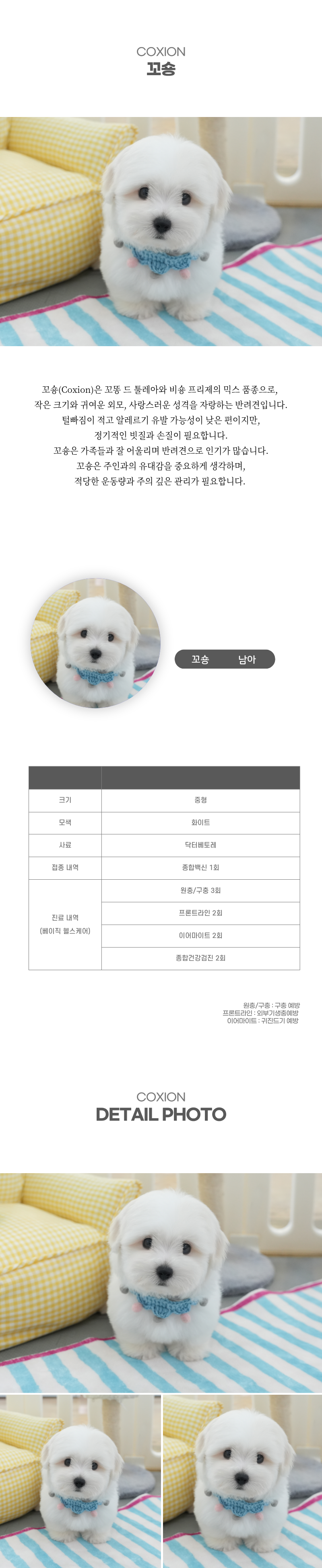 꼬숑_상세이미지_2
